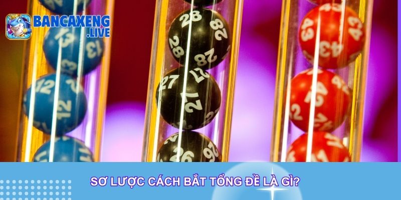 Sơ lược cách bắt tổng đề là gì?